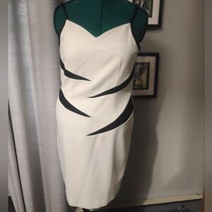 Ellen K Ivory & Black Tiger Stripe Dress Sz 10